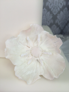 Sugar Flower Anemone White