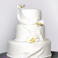 Drapery with Orchids