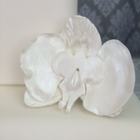 Sugar Flower White Orchid